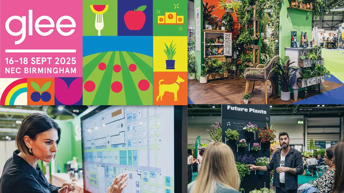 Glee 2025